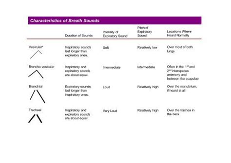 Diseases with vesicular breath sounds - cyberDer