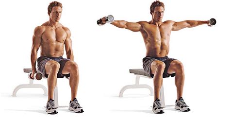 Seated Dumbbell Lateral Raise • Bodybuilding Wizard