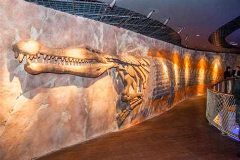 Dubai Aquarium and Underwater Zoo unveil King Crocodile - What's On