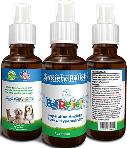 Top 15 Best Dog Anxiety Medications for Calming Dogs in 2017