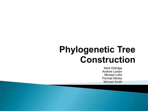 PPT - Phylogenetic Tree Construction PowerPoint Presentation, free download - ID:5690422