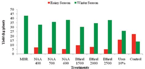 Effect of various treatments on fruit yield (kg/plant) in rainy and ...