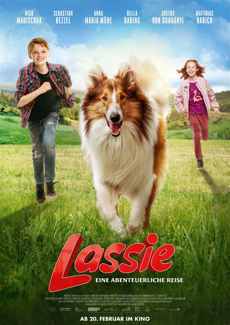 Was Lassie A Real Dog