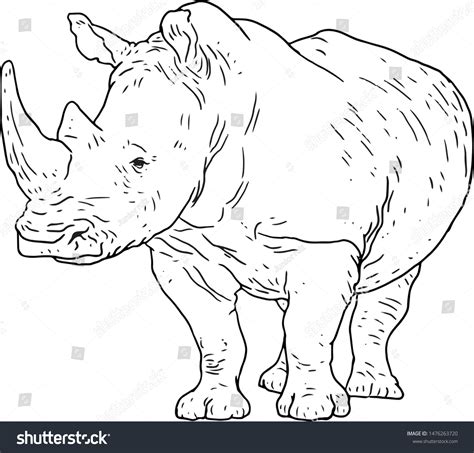 Vector Rhino Black White Line Art Stock Vector (Royalty Free ...