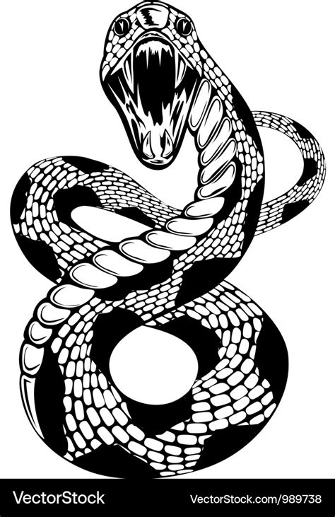 Snake attacke Royalty Free Vector Image - VectorStock