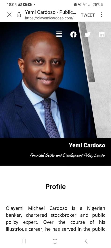 The Next CBN Governor - Politics - Nigeria