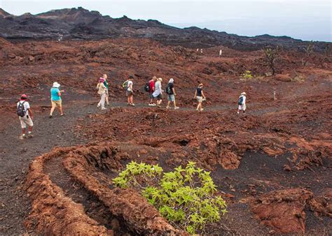 21 Galapagos Islands Volcanoes (Active, Dormant, Location Chart) | Storyteller Travel