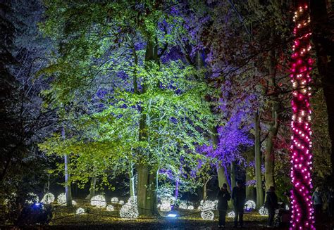 24 pictures of spectacular Christmas lights display at the Wimpole Estate, Cambridgeshire