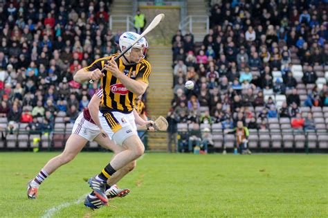 KILKENNY CATS: the HISTORY of this iconic phrase