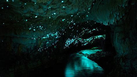 Online crop | HD wallpaper: cave, water, night, Waitomo Glowworm Caves, New Zealand | Wallpaper ...