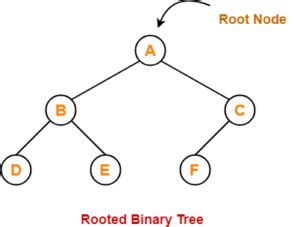 Rooted-Binary-Tree-Example | Gate Vidyalay