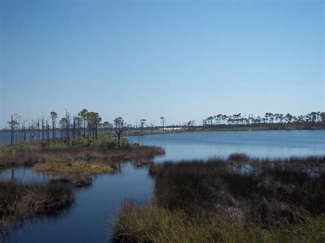 Bon Secour National Wildlife Refuge. | La trip, Louisiana travel ...