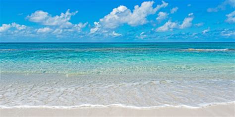 Beaches of Salt Cay | Visit Turks and Caicos Islands