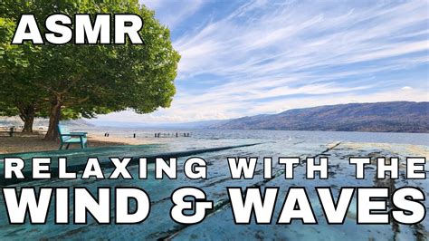 ASMR Wind & Wave Relaxation - YouTube