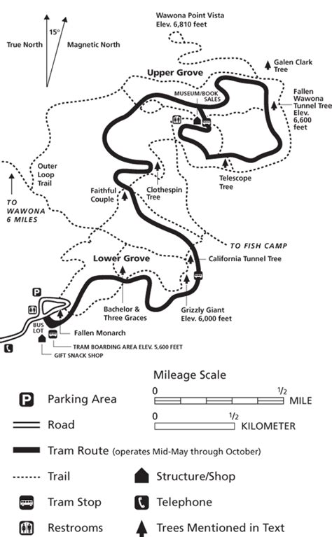 Mariposa Grove - from South Entrance (Giant Sequoias) Sequoia National Park Camping, Yosemite ...