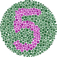 Color Blind Test - Tools Your Color Vision