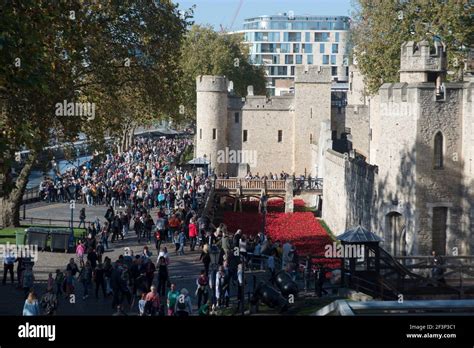 Crowds attending the poppies display at the Tower of London, London, EC2, England Stock Photo ...