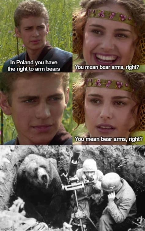 Bears : r/IndianDankMemes