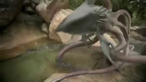 Sharktopus Trailer | 2010 [HD] - YouTube