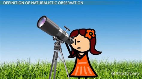 Naturalistic Observation: Examples, Definition & Method - Video ...