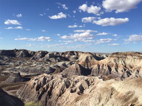 Petrified Forest & Painted Desert