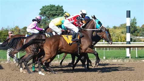 The role of jockeys in horse racing: Challenges, training, and race outcome