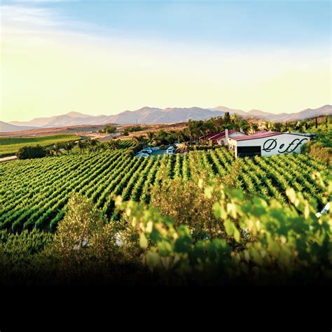 Make a reservation at Doffo Winery