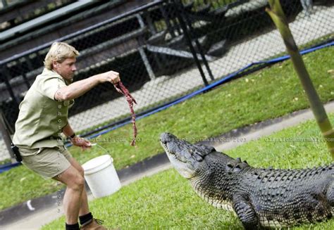 © Steve Irwin at his Australia Zoo photo - Uli Stich photos at pbase.com