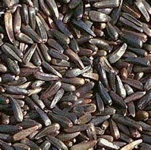 Niger Seeds,Nyjer Bird feed,Black Niger Seed Manufacturers