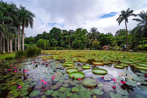 Xishuangbanna Dai Autonomous Prefecture | Colorful Yunnan