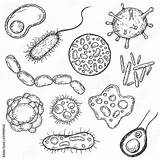 Bacteria Sheet Coloring Pages sketch template