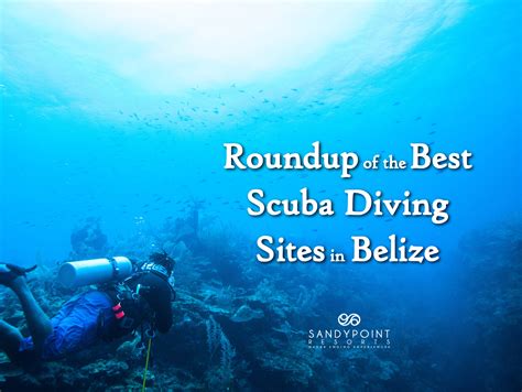 Roundup of the Best Scuba Diving Sites in Belize| Sandy Point Resorts