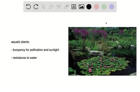 SOLVED:Open Ended Describe adaptations of an organism living in the ...