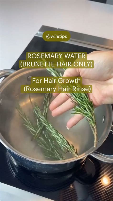 How To Make Rosemary Water For Hair With Dried Rosemary – to-v.net