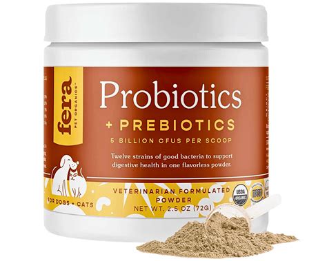 Ultimate Guide To Choosing The Best Probiotics For Cats