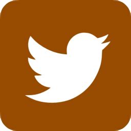 Brown twitter 3 icon - Free brown social icons