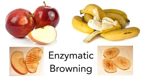 Fruits Gone Bad? Discover Enzymatic Browning | STEM Activity