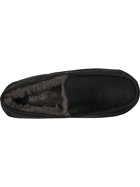 Ugg ascot black china tea + FREE SHIPPING | Zappos.com