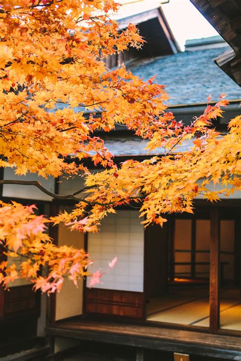 15 BEST THINGS TO SEE IN TAKAYAMA [JAPAN GUIDE]