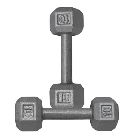 Durable 10 lb Dumbbells: The Perfect Fitness Companion – Deltech Fitness