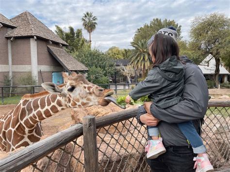 Zoo Trip | Zoologico, Niños ulzzang, Zoo