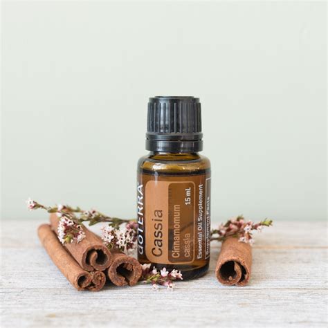 Cassia Oil Spotlight | doTERRA Essential Oils | doTERRA Essential Oils