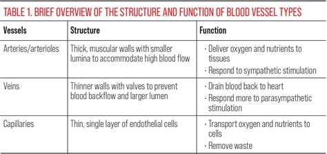 Vascular Variations