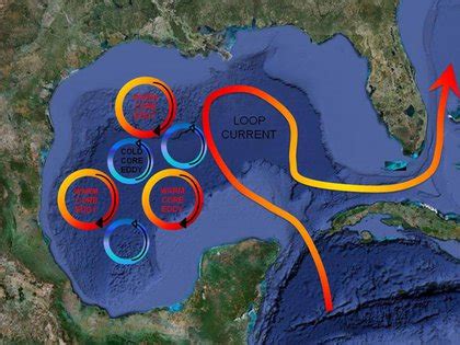 "Loop Current" May Spread Gulf Oil Spill Up East Coast - Gothamist