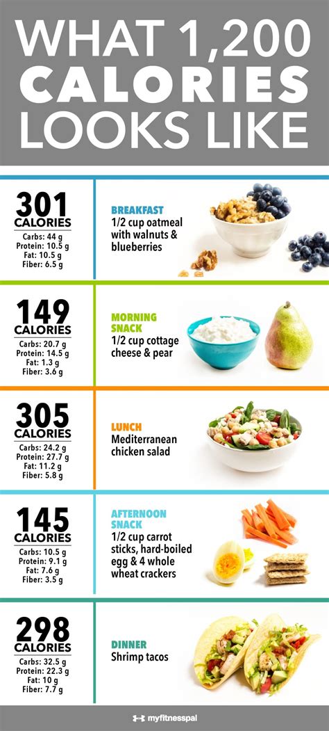 Printable Dr Nowzaradan Diet Plan 1200 Calories Pdf