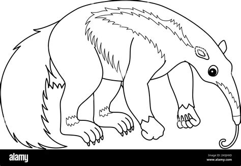 Anteater Coloring Pages Ant Clipart Drawing Outline Hill Giant Cliparts ...