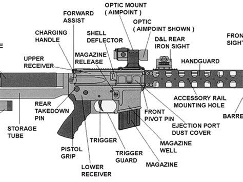 Partes De Un Rifle