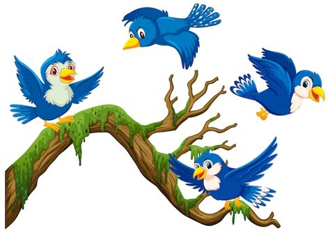 Premium Vector | Four blue birds flying around the branch