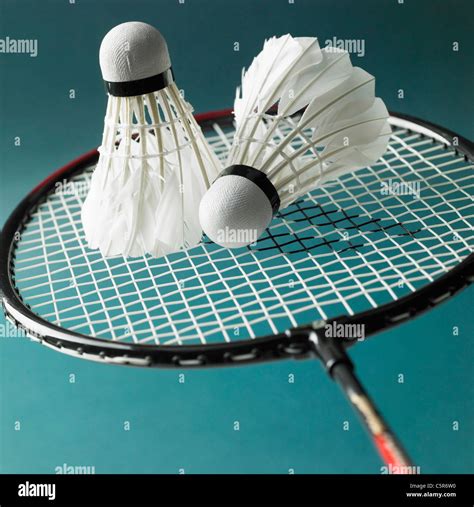 Badminton Birdie And Racket