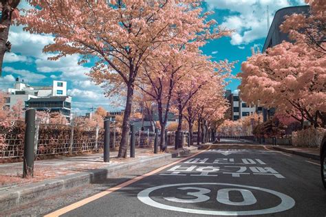 Fall in Seoul, South Korea | Street view, South korea, Korean aesthetic